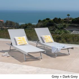Holm Outdoor Gray Mesh Chaise Lounge with Aluminum Frame (set of 2)