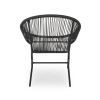 Chrissy Outdoor Black Modern Faux Rattan Club Chairs (Set of 2)