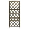 vidaXL Trellis with Shelves Gray 21.6"x11.8"x55.1" Solid Fir Wood
