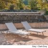 Holm Outdoor Gray Mesh Chaise Lounge with Aluminum Frame (set of 2)