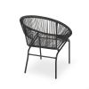 Chrissy Outdoor Black Modern Faux Rattan Club Chairs (Set of 2)